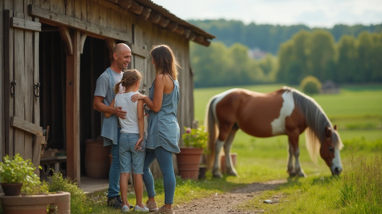 Kolik stojí kůň aneb cena vlastnictví koně pro začátečníky