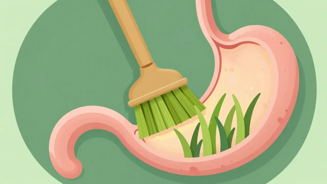 Kresba znázornující, jak listy trávy pomáhají vyčistit psí žaludek.